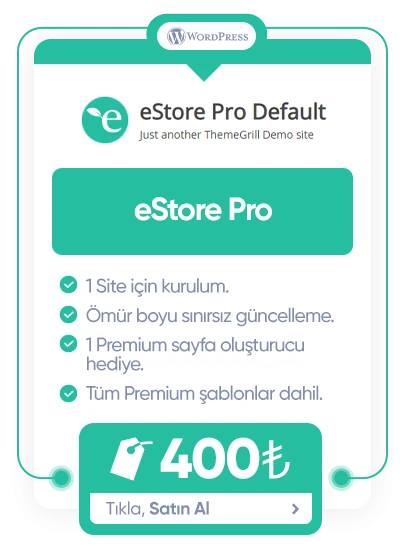 eStore Pro